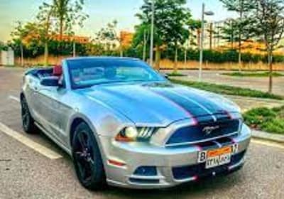 Private City Tour In Cairo By Luxury Private Car 2
