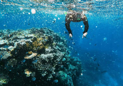 4 Day 3 Nights Sharm el sheikh, Dahab And St.Catherine Monastery From Cairo 2