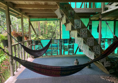 paraiso verde over night 2