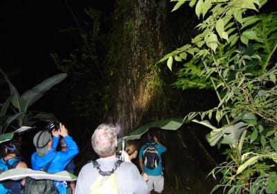 NativosCorcovado Night Hike 2