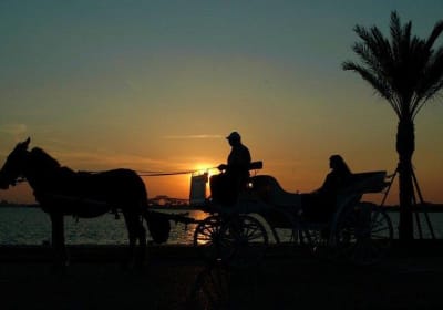 3-Hour Private Luxor Horse Carriage City Tour 2