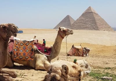 Tour to Giza pyramids Memphis Sakkara and Felucca on the Nile 2