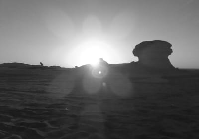 Private Trip To BaharIya Oasis Visit Black & White Desert From Cairo 2