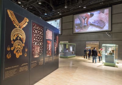 Short Stopover Tour to The National Museum of Egyptian Civilization 2