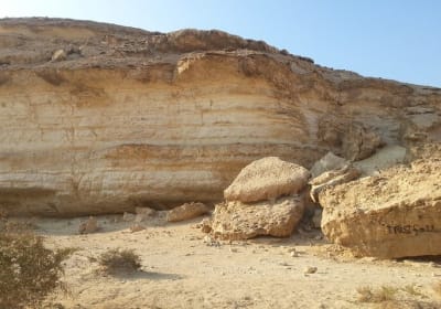 Relaxing Day Tour To Wadi Degla Protectorate In Cairo 2