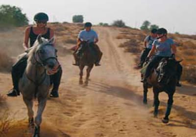 Adventure Safari By Horse In Sharm El Sheikh 2