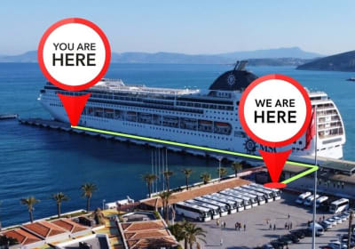 SKIP-THE-LINE: Group or Private Ephesus & Artemis Tour with LUNCH 2