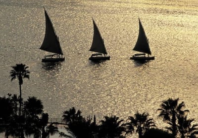 Felucca Ride on The Nile River and 4 Stars Dinner Cruise 2