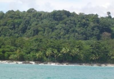 Snorkling  Tour at caño island 2