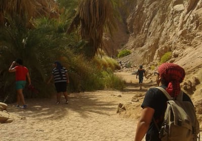  Private Full Day Snorkeling, quad biking In Dahab From Sharm El Sheikh 2
