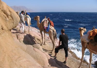 From Sharm: Dahab Day Trip with Desert Safari and Camel Ride 2