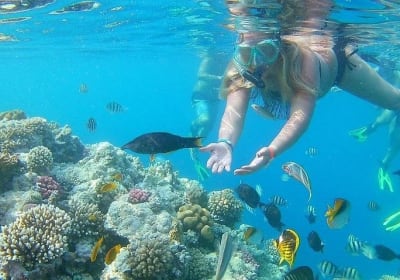 Hurghada Grand Aquarium 2