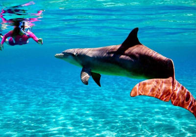 Budget Snorkeling Trip To Giftun Island in Hurghada  2