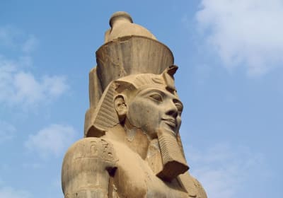 All around Israel, Jordan, and Egypt 20 days  2