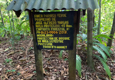 Paraiso verde Corcovado 2