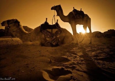  Top Day Tour To Cairo By Sleeping Train 2