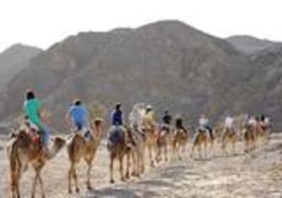 2-Hours Camel Safari sunset with Bedouin meal 2