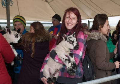Caherconnell Fort & Sheepdog Demonstrations 2