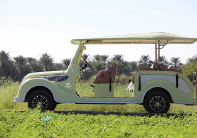 Al Hamra Cart Tour 2
