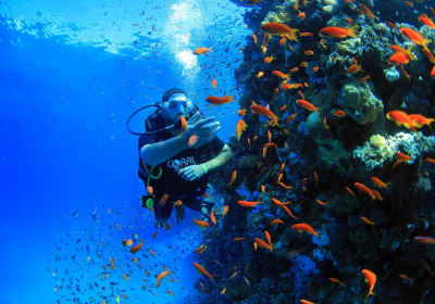 2 days dive package 2