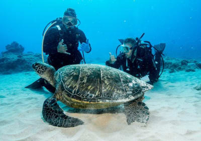 Begin your underwater adventure with the PADI Open Water Diver Course 2