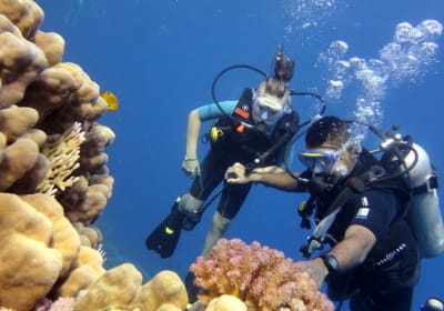1 Dive from Shore 2