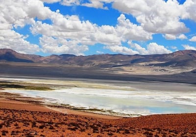 Iquique, Parque Nacional Salar del Huasco - Dia completo  2