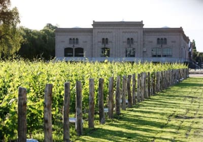 Mendoza, Vinos y Sabores de Maipú - Medio completo 2