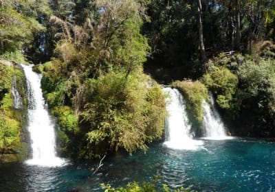 Ojos del Caburgua y Lago Caburgua, Atractivos Naturales - Medio día  2