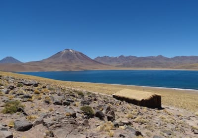 San Pedro de Atacama, Lagunas Altiplánicas y Piedras Rojas - Dia completo 2