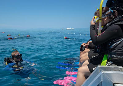 4-Day PADI Open Water Dive Course - Learn to Dive on the Great Barrier Reef 2