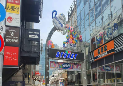 Tokyo: Crazy Cute & Kawaii Harajuku Food Tour 2