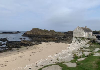 Giants Causeway & Antrim Coast Private Tour 2
