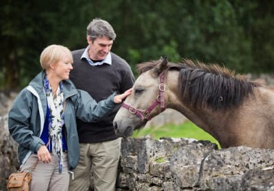 Private Half Day Tour To Connemara 2