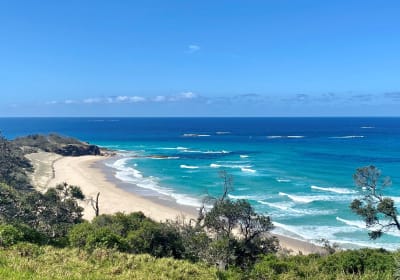 North Stradbroke Island Wildlife Adventure Tour 2