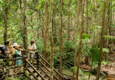 K'gari (Fraser Island) Explorer 2-Day Tour 2