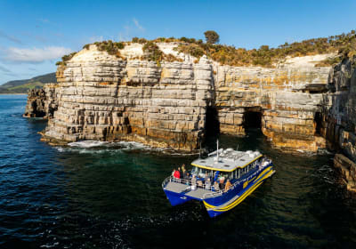Cape Raoul Cruise & Historic Site Entry 2