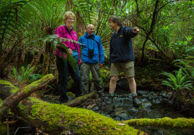 Bruny Island Gourmet Day Trip 2