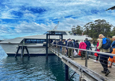 Port Arthur Full-Day Guided Tour 2