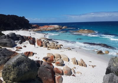 4-Day Wild Tasmania Adventure 2