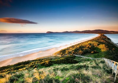 Bruny Island Full-Day Tour from Hobart 2