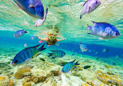 Punta Cana Shark & Stingray Snorkeling Cruise 2
