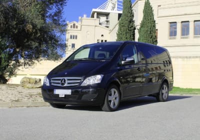 Private Malaga Transfer: Cruise Port to Central Malaga and Costa del Sol 2