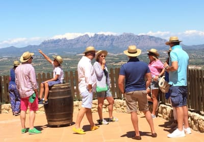 Penedès and Cava Winery Small-Group Tour 2