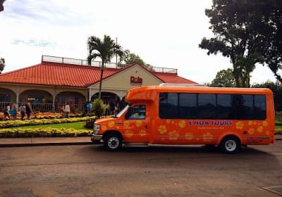 Majestic Circle Island Tour with Lunch 2