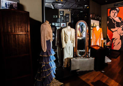 Sevilla Walking Tour, Flamenco Museum and Guadalquivir Cruise 2