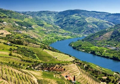 Douro Valley Wine Tour with Lunch, Tastings, and River Cruise 2