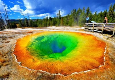 Yellowstone & Las Vegas 7-Day Tour 2