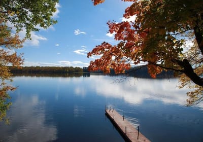 Lake Muskoka & Algonquin Day Tour 2