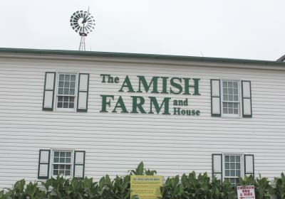 Amish Farm and House Day Tour from Washington D.C. 2